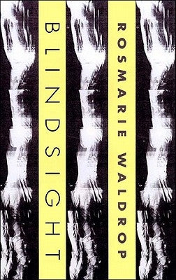 Blindsight by Waldrop, Rosmarie