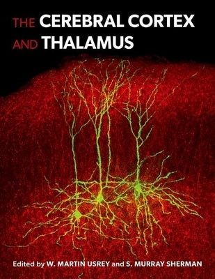 The Cerebral Cortex and Thalamus by Usrey