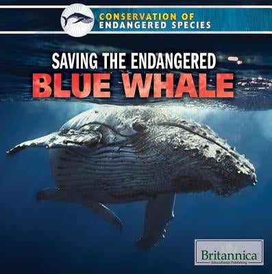 Saving the Endangered Blue Whale by Payment, Simone