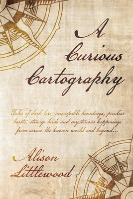 A Curious Cartography by Littlewood, Alison