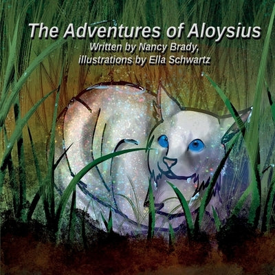 The Adventures of Aloysius by Brady, Nancy