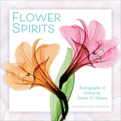 Flower Spirits: Radiographs of Nature by Steven N. Meyers by Steven N Meyers