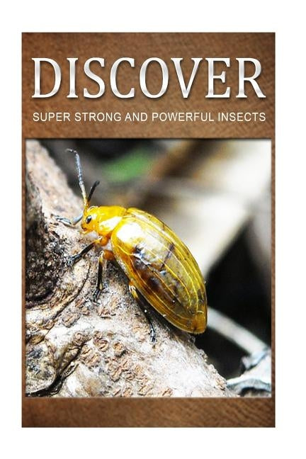 Super Strong and Powerful Insects - Discover: Early reader's wildlife photography book by Press, Discover