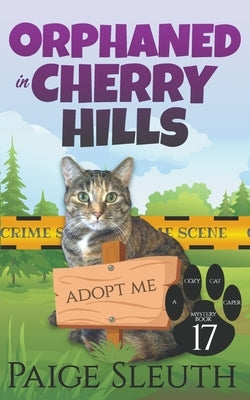 Orphaned in Cherry Hills by Sleuth, Paige