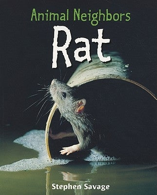 Rat by Savage, Stephen