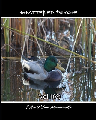 Shattered Psyche Vol 1(6) by Halloran, Thomas