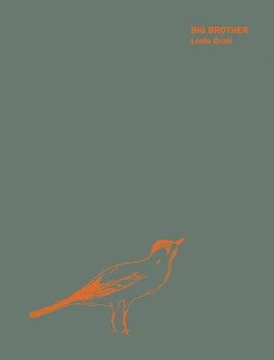 Big Brother by Quail, Louis