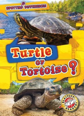 Turtle or Tortoise? by Chang, Kirsten