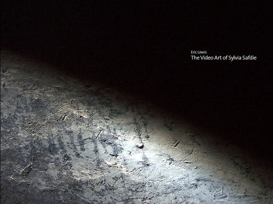 The Video Art of Sylvia Safdie by Lewis, Eric