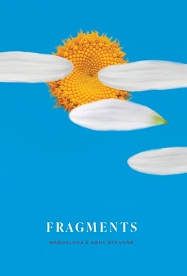 Fragments by Stevens, Magdalena