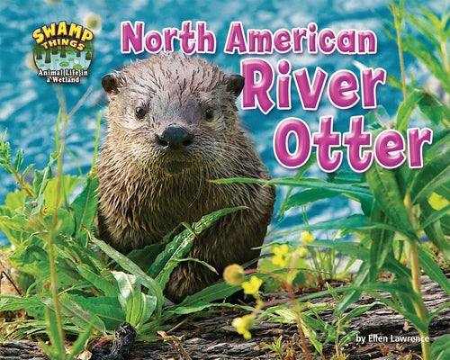 North American River Otter by Lawrence, Ellen