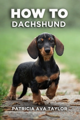 How to Dachshund: A Tail-Wagging Guide to Care, Training and Grooming Bliss by Taylor, Patricia Ava