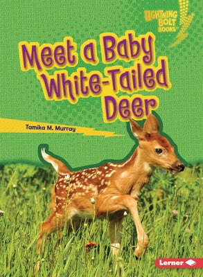 Meet a Baby White-Tailed Deer by Murray, Tamika M.
