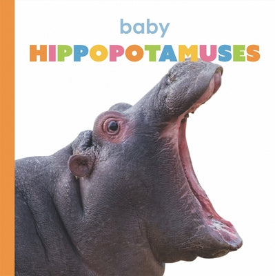 Baby Hippopotamuses by Riggs, Kate