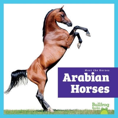 Arabian Horses by Grack, Rachel