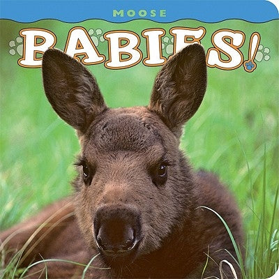 Moose Babies! by Holdsworth, Henry H.