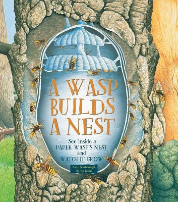 A Wasp Builds a Nest: See Inside a Paper Wasp's Nest and Watch It Grow by Scarborough, Kate