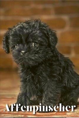 Affenpinscher: Dog breed overview and guide by Pustova, Nina