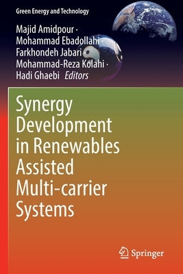 Synergy Development in Renewables Assisted Multi-Carrier Systems by Amidpour, Majid