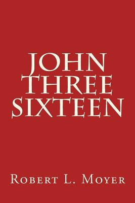 John Three Sixteen by Moyer, Robert L.