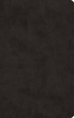 ESV Large Print Value Thinline Bible (Trutone, Black) by Esv Bibles