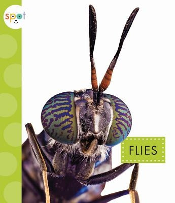 Flies by Black, Nessa