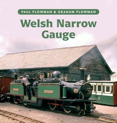 Welsh Narrow Gauge by Plowman, Paul