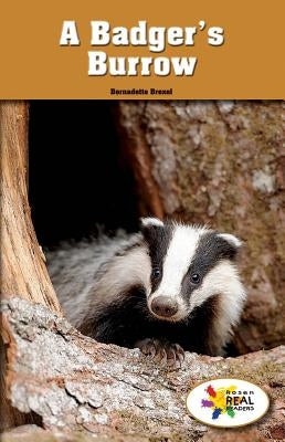 A Badger's Burrow by Brexel, Bernadette