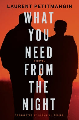 What You Need from the Night by Petitmangin, Laurent