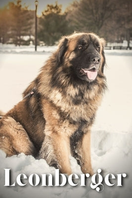 Leonberger: Dog breed overview and guide by Pustova, Nina