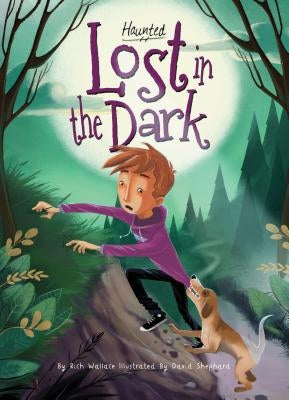 Lost in the Dark by Wallace, Rich