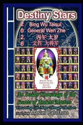 2026 Bing Wu Tai Sui General Wen Zhe by Choo, Master Patrick
