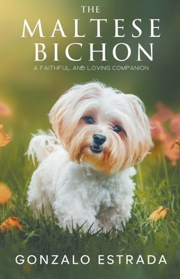 The Maltese Bichon by Estrada, Gonzalo