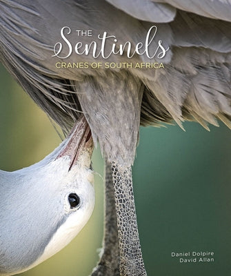 The Sentinels: Cranes of South Africa by Dolire, Daniel