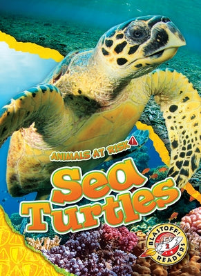 Sea Turtles by Grack, Rachel