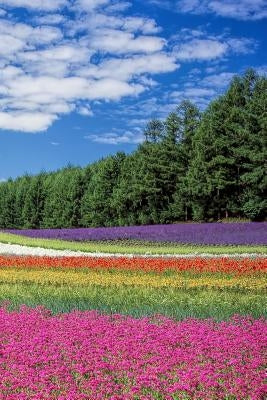Flower Field: A Field of Beautiful Flowers. by Journals, Planners and