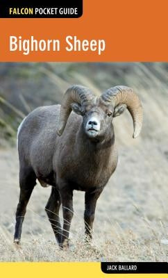 Bighorn Sheep by Ballard, Jack