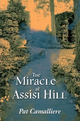 The Miracle at Assisi Hill by Camalliere, Pat