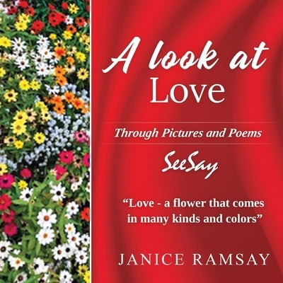 A Look at Love by Ramsay, Janice