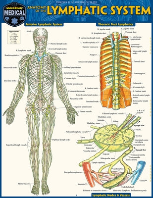 Anatomy of the Lymphatic System: A Quickstudy Laminated Reference Guide by Perez, Vincent