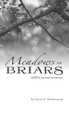 Meadows or Briars: God in the Midst of Our Pain by Penhorwood, Carol a.
