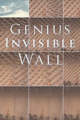 Genius Invisible Wall by Gifted Child