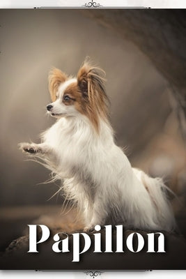 Papillon: Dog breed overview and guide by Pustova, Nina