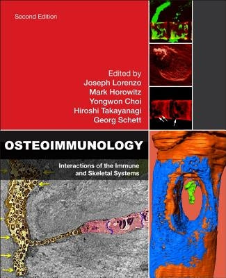 Osteoimmunology: Interactions of the Immune and Skeletal Systems by Lorenzo, Joseph