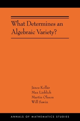 What Determines an Algebraic Variety?: (Ams-216) by Kollár, János