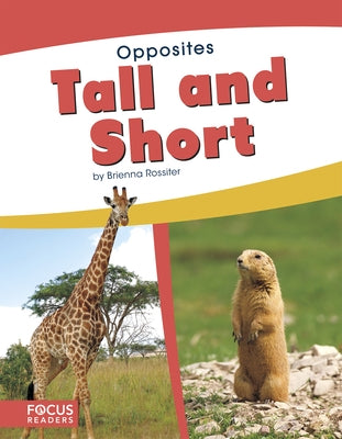 Tall and Short by Rossiter, Brienna
