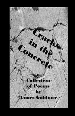 Cracks in the Concrete by Goldiner, James