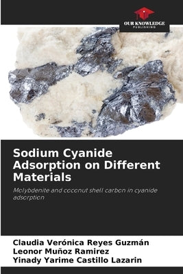 Sodium Cyanide Adsorption on Different Materials by Reyes Guzmán, Claudia Verónica