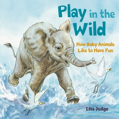 Play in the Wild: How Baby Animals Like to Have Fun by Judge, Lita