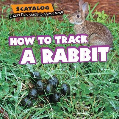 How to Track a Rabbit by Graubart, Norman D.